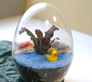 Egg Terrarium.png